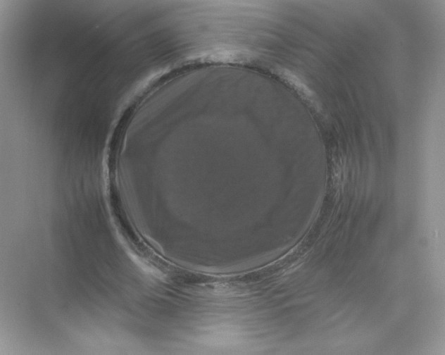 X0000074290678200609222310