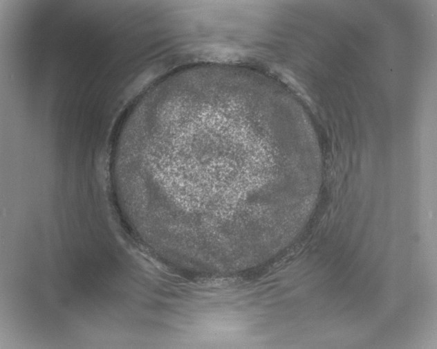 X0000074290679200609222310