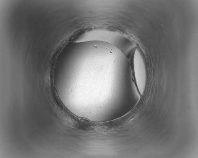 X0000074290681200609222310