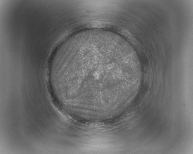 X0000074290683200609222309