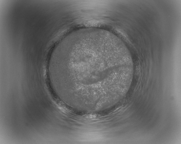 X0000074290687200609222309