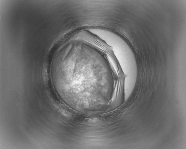 X0000074290688200609222309