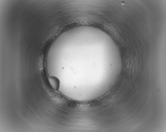 X0000074290694200609222309