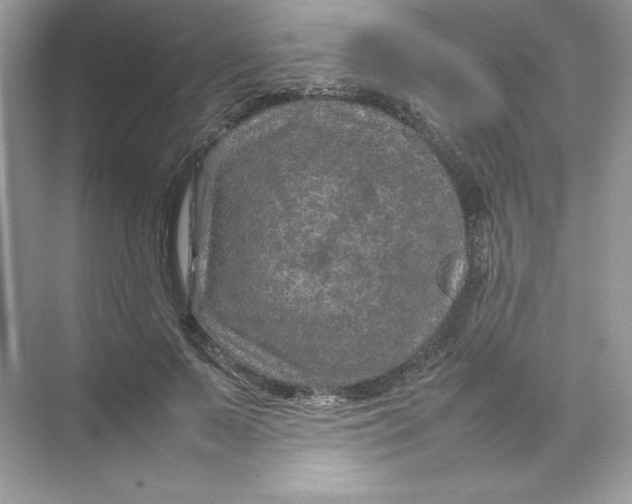 X0000074290695200609222309