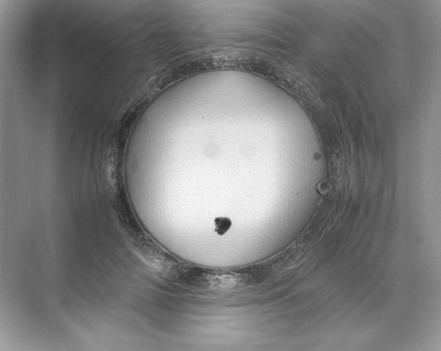 X0000074290698200609222309