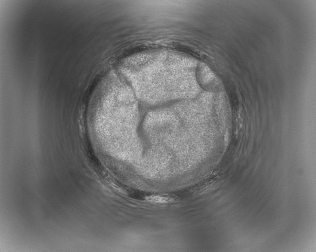 X0000074290699200609222309