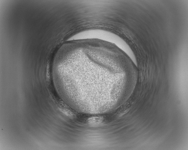 X0000074290700200609222309