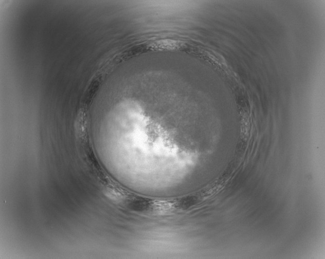 X0000074290701200609222309