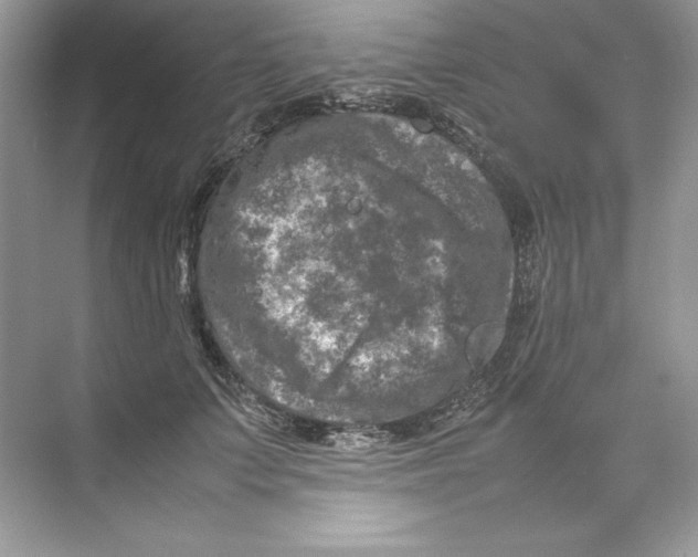 X0000074290703200609222309