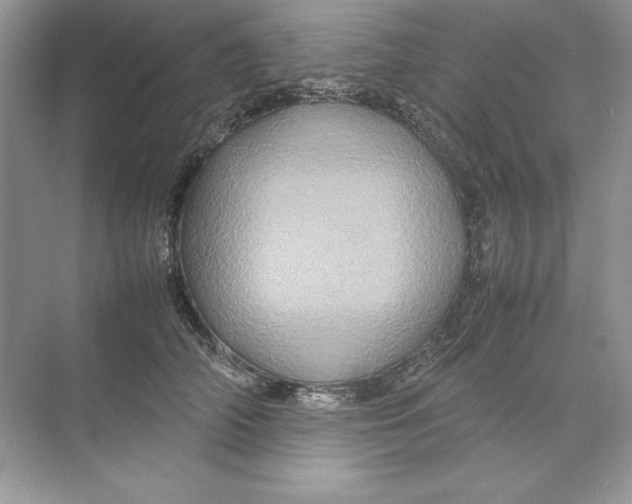 X0000074290706200609222309