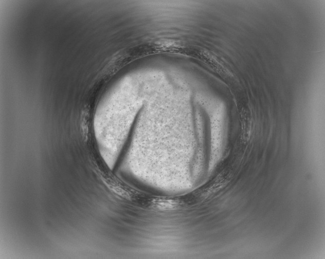 X0000074290710200609222309