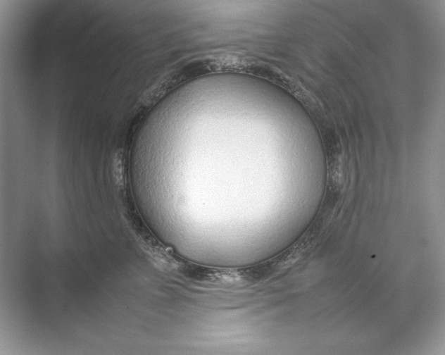 X0000074290715200609222309