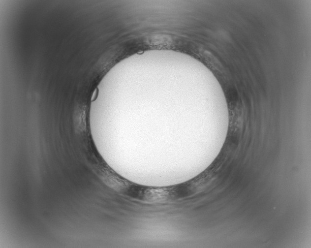 X0000074290717200609222309