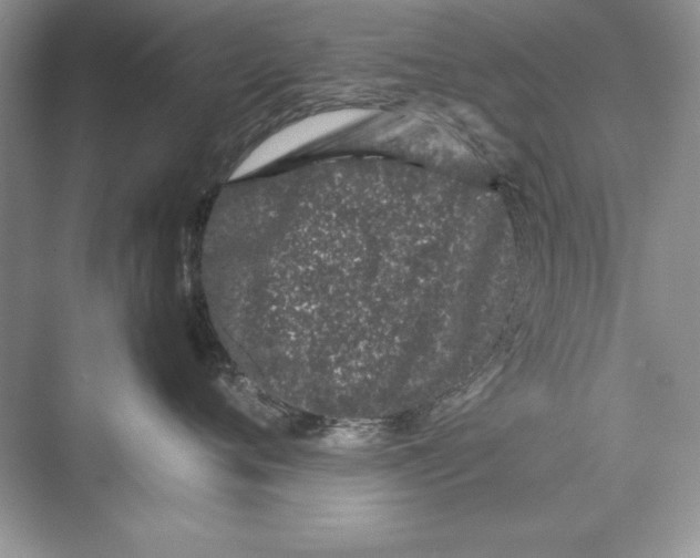 X0000074290720200609222309