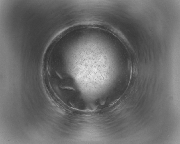 X0000074290724200609222308