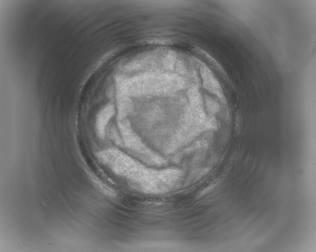 X0000074290725200609222308