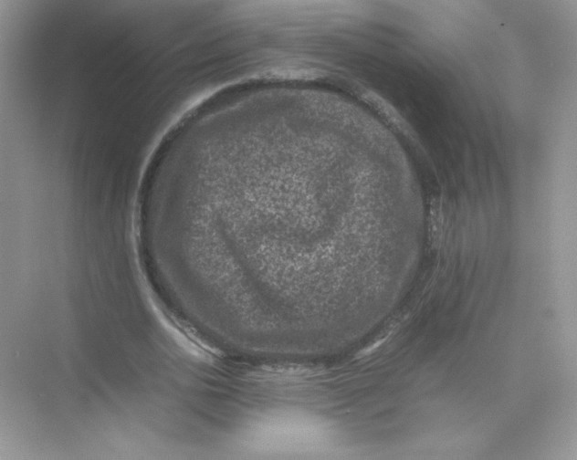 X0000074290726200609222308