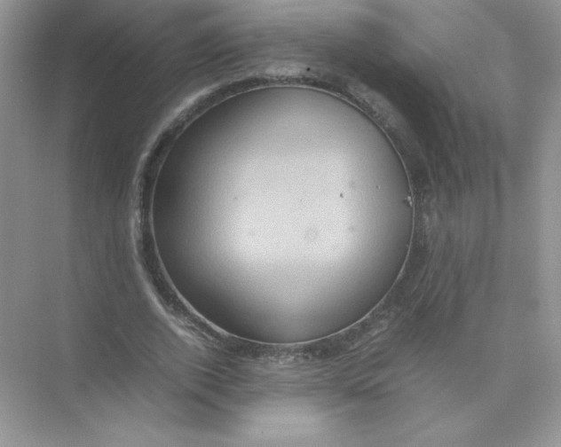 X0000074290728200609222308