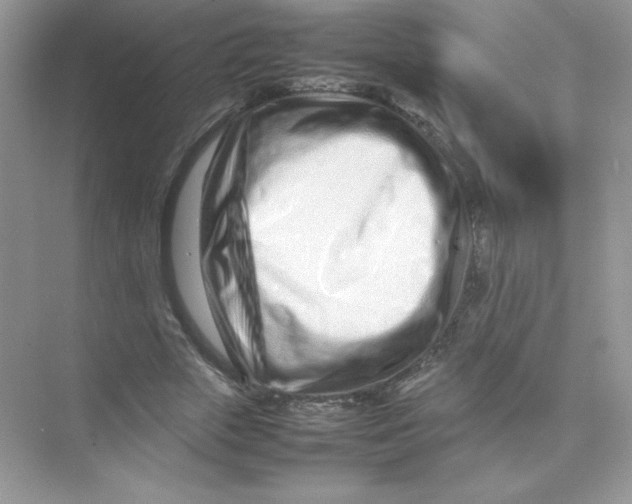 X0000074290729200609222308