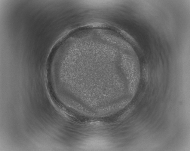 X0000074290730200609222308