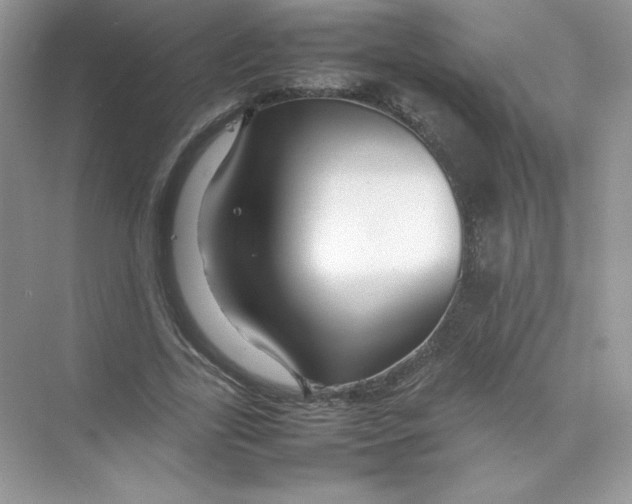 X0000074290731200609222308