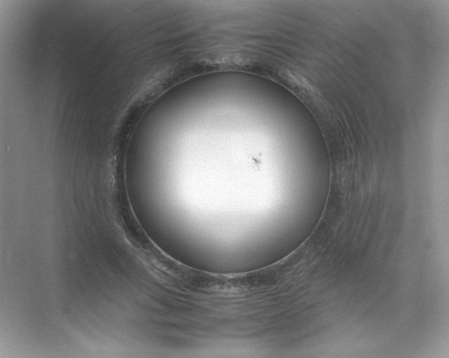 X0000074290735200609222308