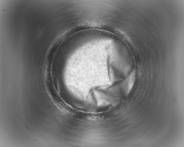 X0000074290736200609222308