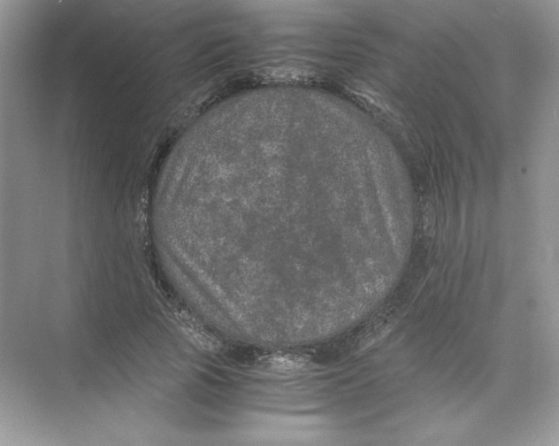 X0000074290737200609222308