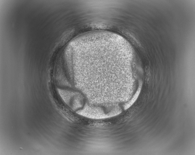 X0000074290738200609222308