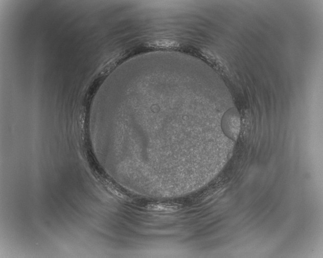 X0000074290739200609222308