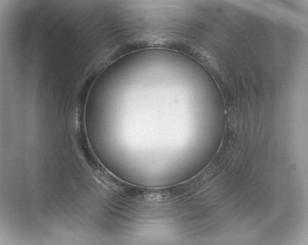 X0000074290740200609222308