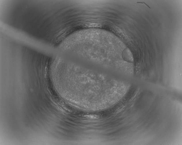 X0000074290741200609222308