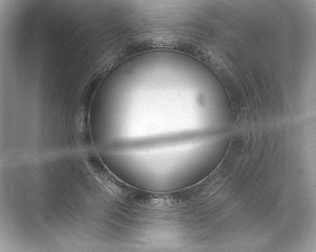 X0000074290744200609222308