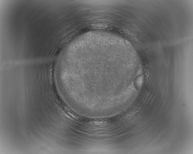 X0000074290745200609222308