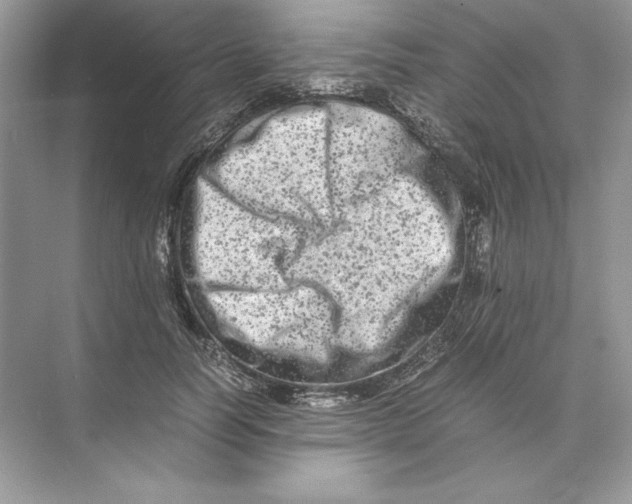 X0000074290746200609222308