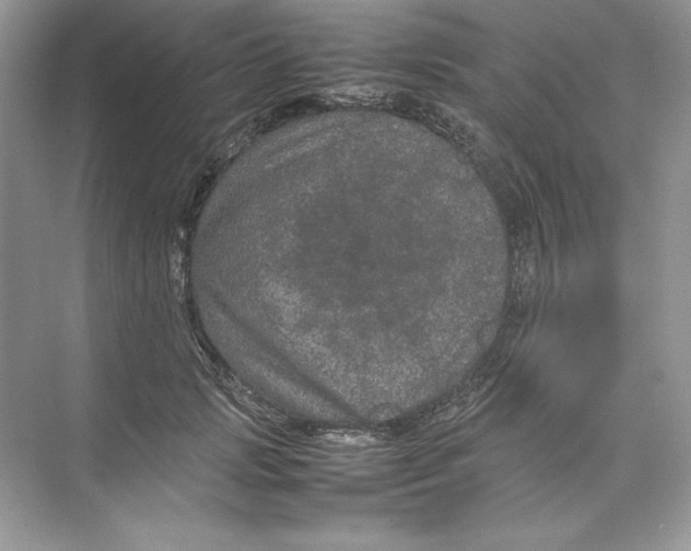 X0000074290749200609222309