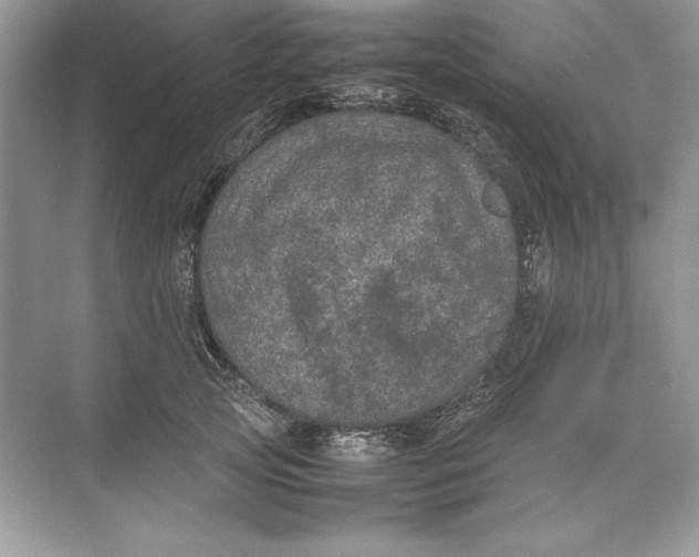 X0000074290753200609222309