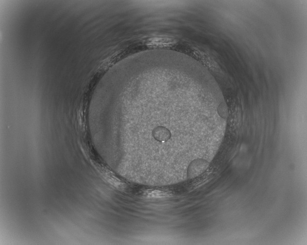 X0000074290755200609222309