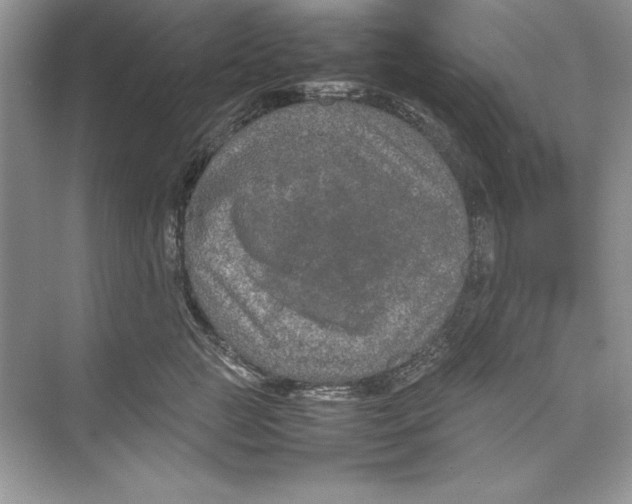 X0000074290761200609222309