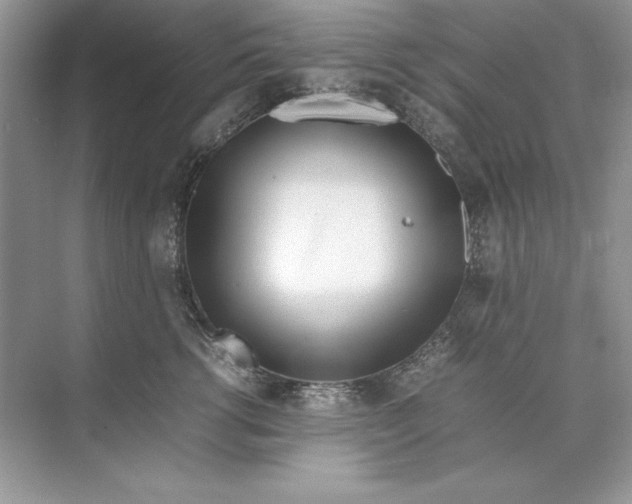 X0000074290762200609222309