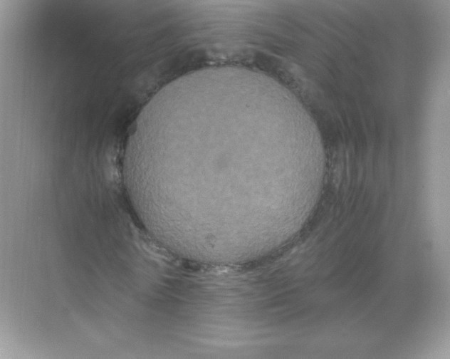 X0000074290770200609222308