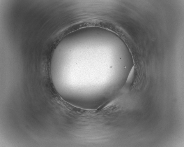 X0000074290773200609222308