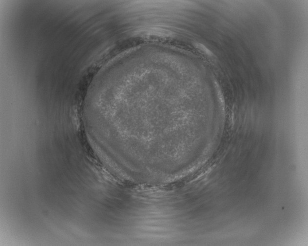 X0000074290774200609222308