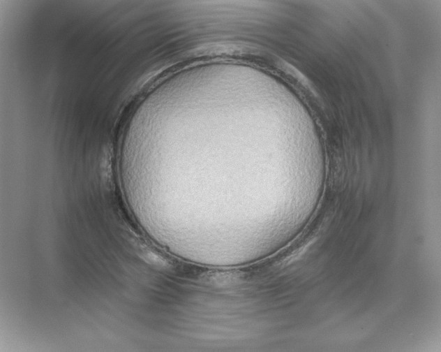 X0000074290778200609222308