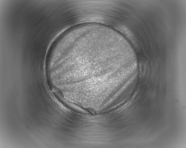 X0000074290780200609222308