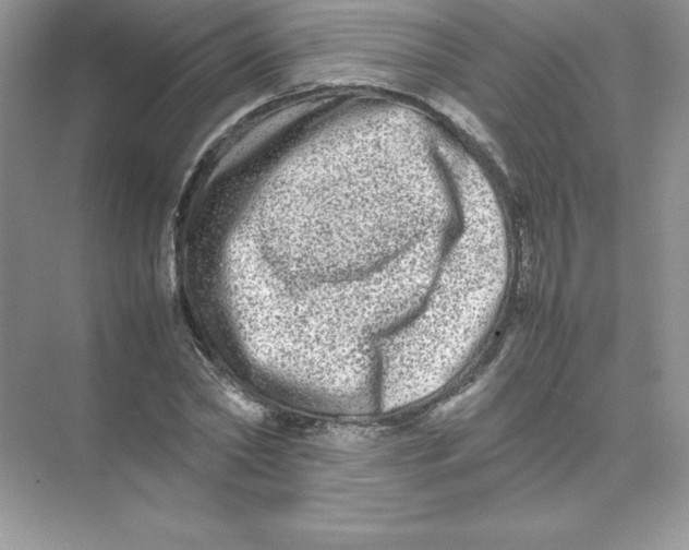 X0000074290782200609222308