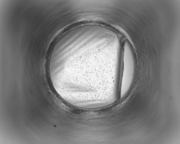 X0000074290783200609222308