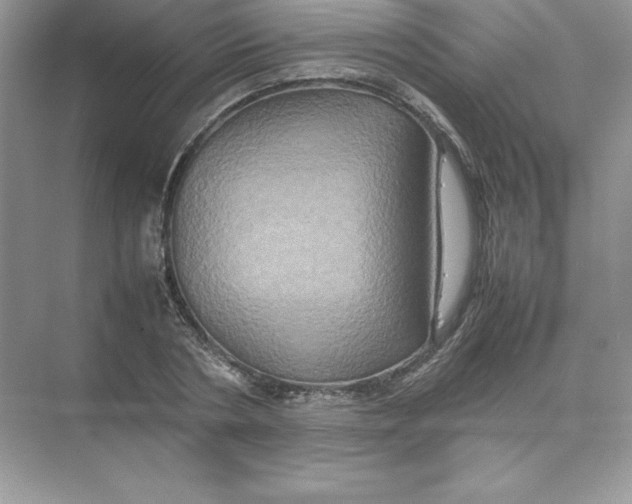 X0000074290786200609222308