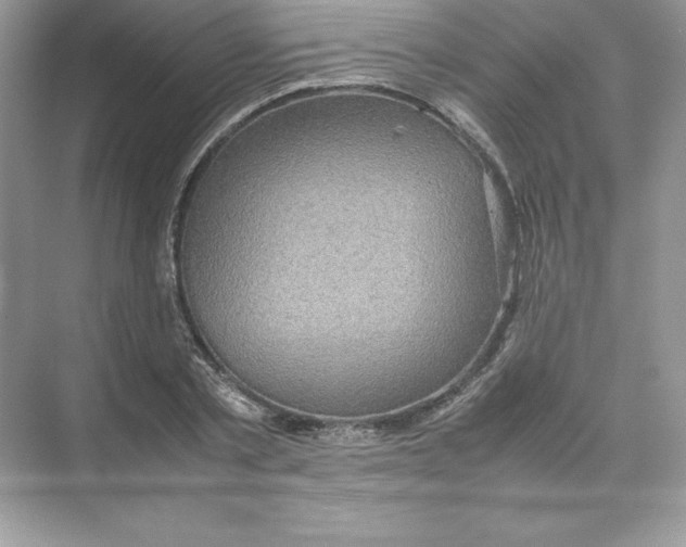 X0000074290789200609222308