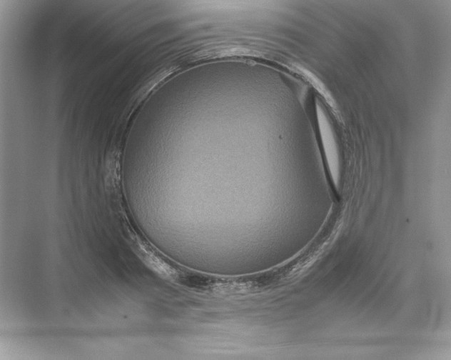 X0000074290793200609222308